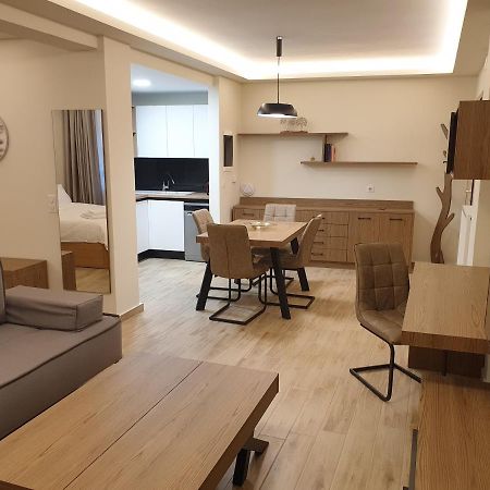 Olive Deluxe Apartment Καρδίτσα Εξωτερικό φωτογραφία