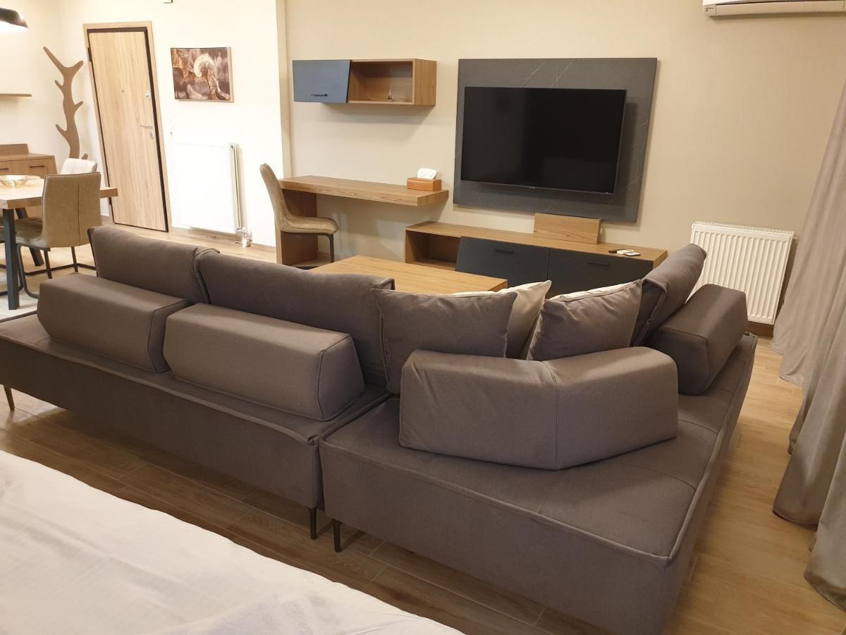 Olive Deluxe Apartment Καρδίτσα Εξωτερικό φωτογραφία