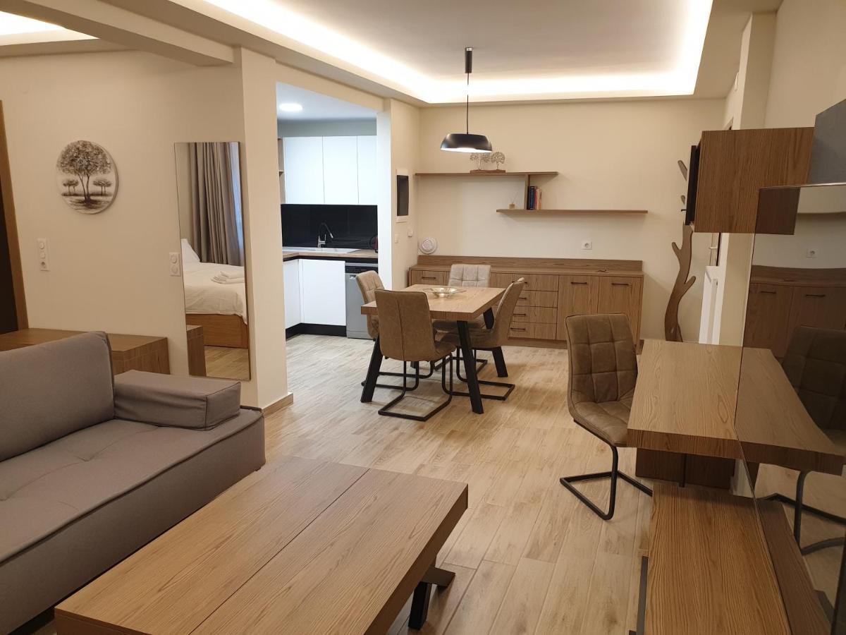 Olive Deluxe Apartment Καρδίτσα Εξωτερικό φωτογραφία