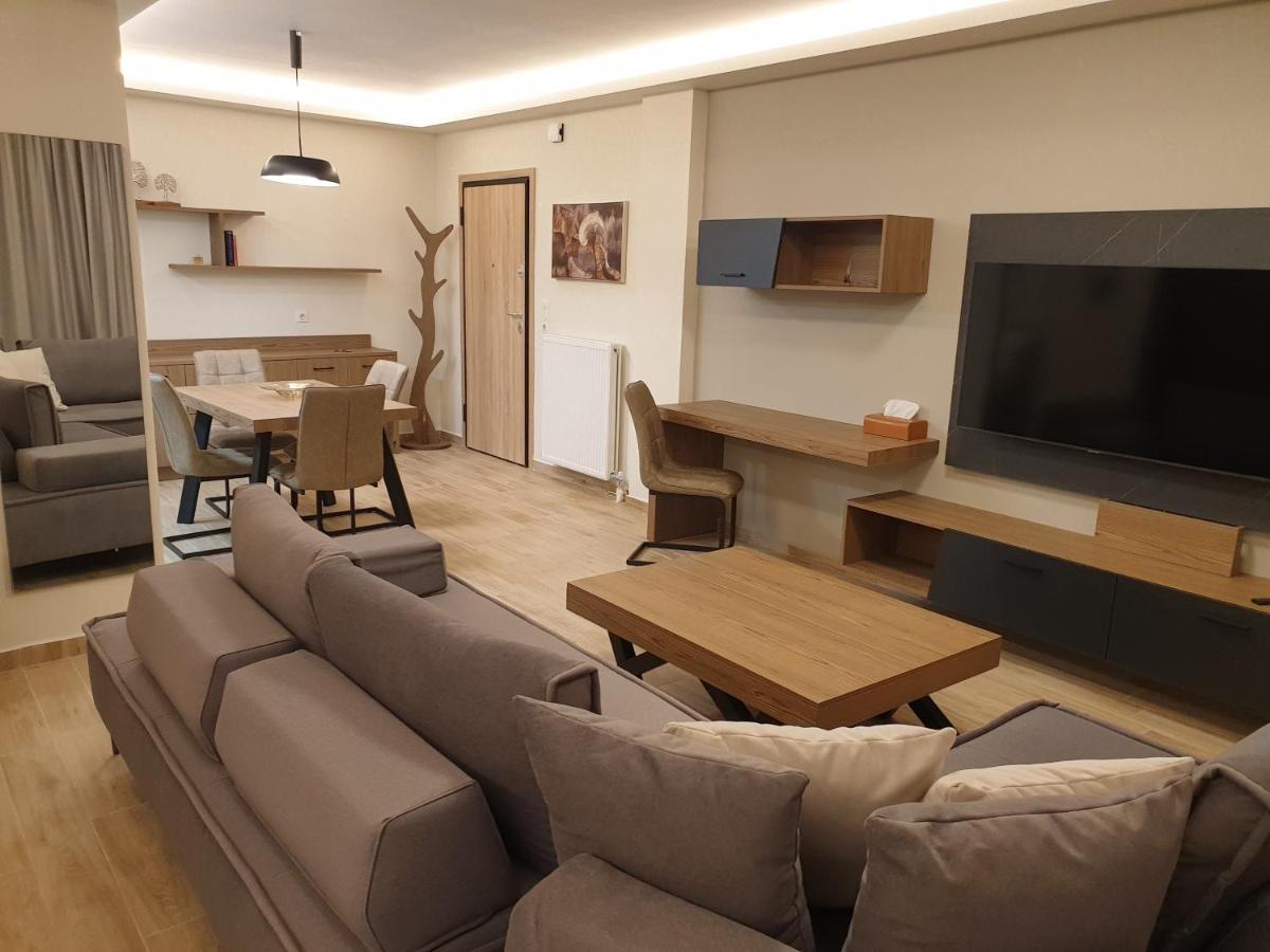 Olive Deluxe Apartment Καρδίτσα Εξωτερικό φωτογραφία