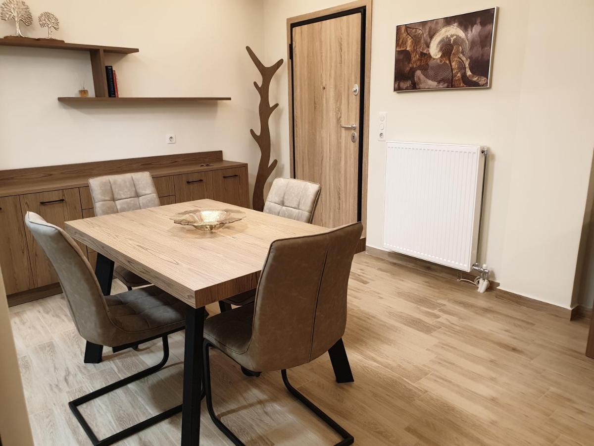 Olive Deluxe Apartment Καρδίτσα Εξωτερικό φωτογραφία